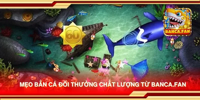 Mẹo bắn cá đổi thưởng chất lượng từ app-protect-arcadia-finance.io