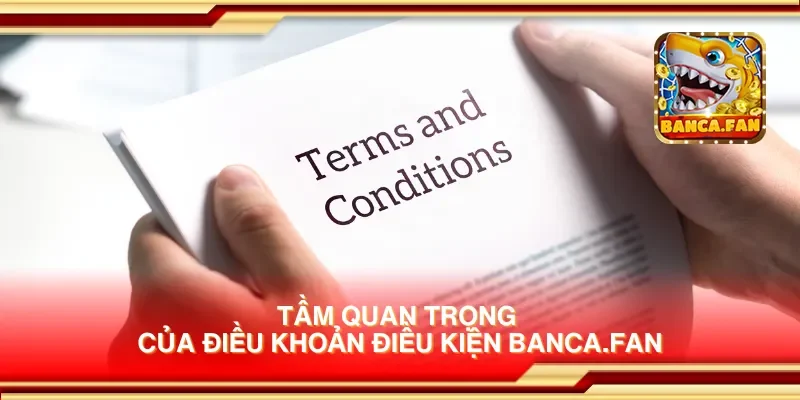 Tầm quan trọng của điều khoản điều kiện app-protect-arcadia-finance.io