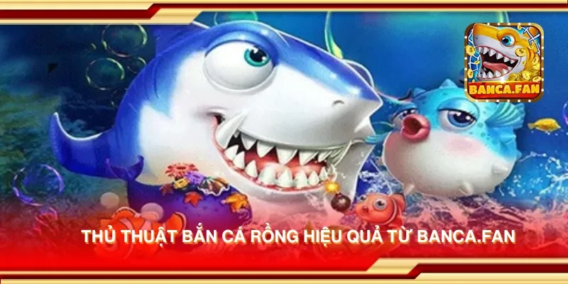 Thủ thuật bắn cá rồng hiệu quả từ app-protect-arcadia-finance.io
