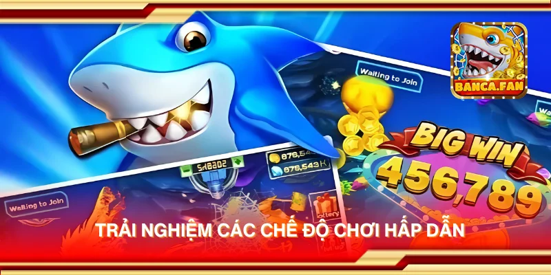 Trải nghiệm các chế độ chơi hấp dẫn